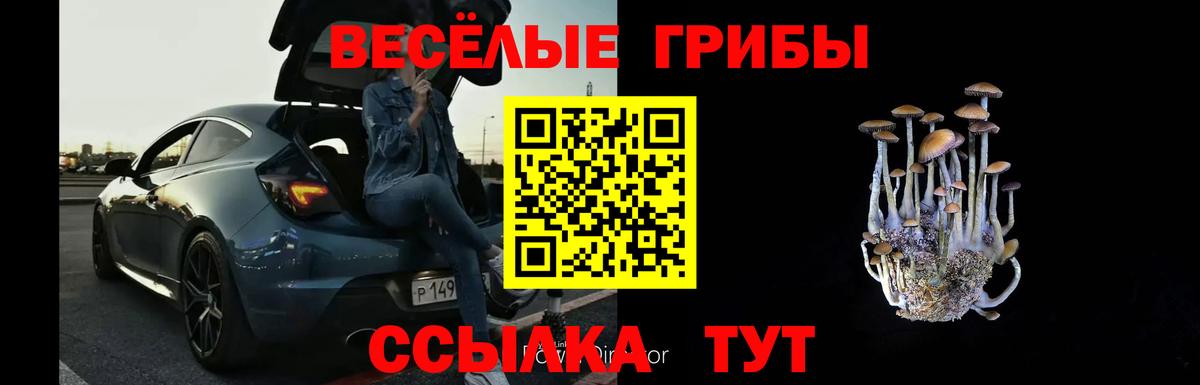 Псилоцибиновые грибы мицелий  где купить наркоту  Сухой Лог  Вход с VPN 